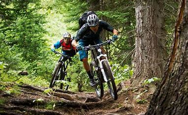 Descubre las mejores rutas de ciclismo en costa